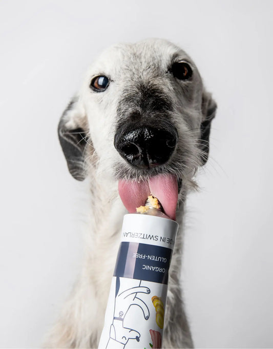 Rindfleisch- und Speck-Organisches Hundefutter-Pâté