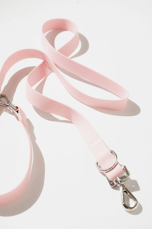 Pink dog leash with silver clasp on a white background