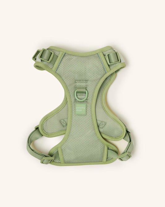 Matcha Classic 2.0 Hundegeschirr