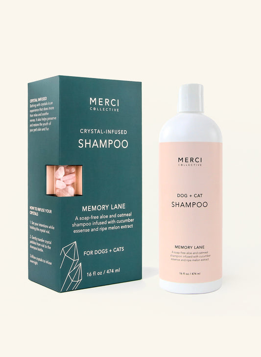 Memory Lane – Shampoing