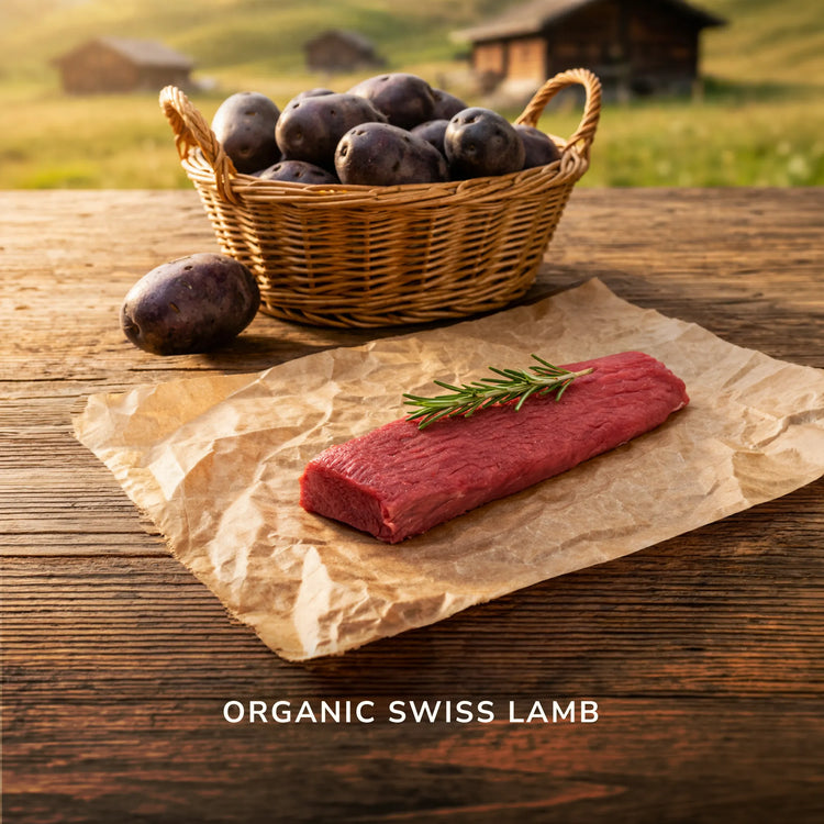 Paté di Agnello per Cani