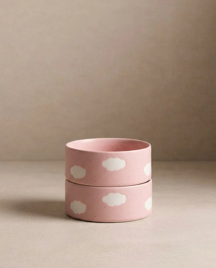 Pink Cloud Pet Bowl Set