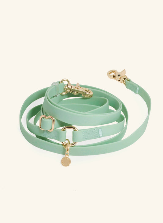 Laisse mains libres convertible 4 en 1 – Pistache