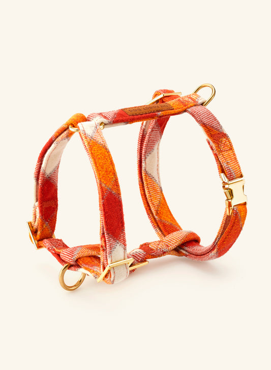 Harnais Pumpkin Spice Flannel