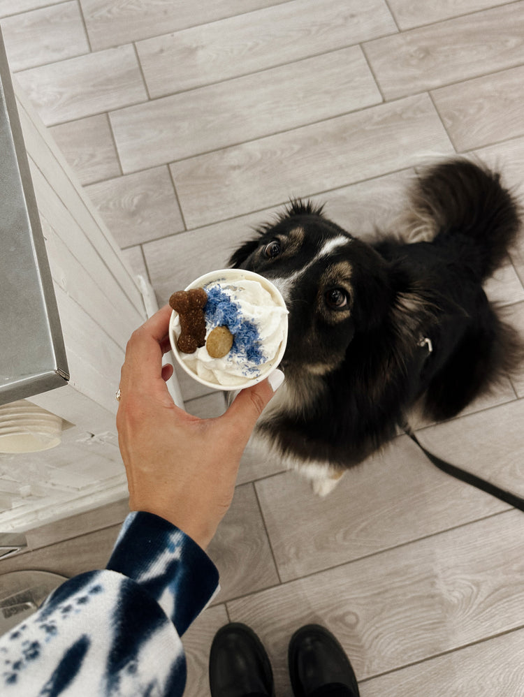 Polvere di Sirena - Condimento per Pasti