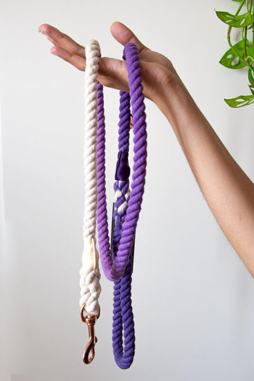 Ombré Purple Leash - Kitsune & Jo