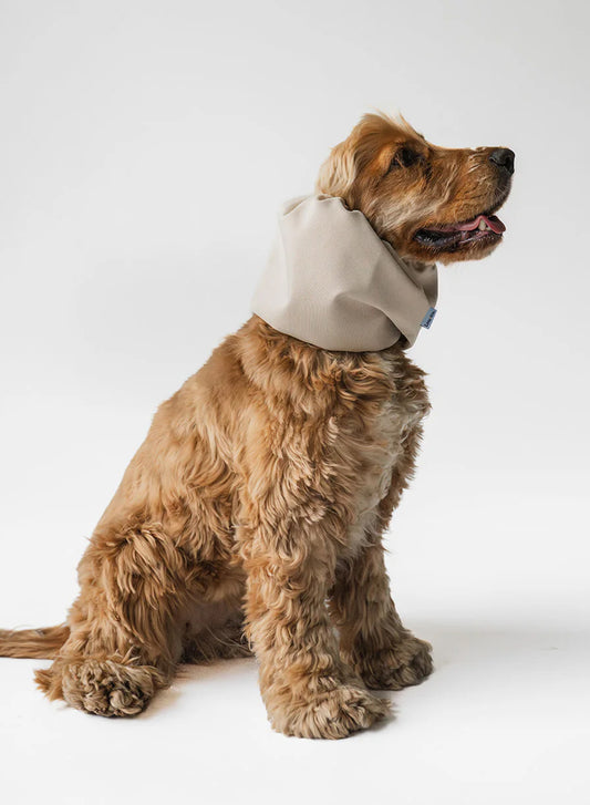 Dog Snood Waterproof – Beige