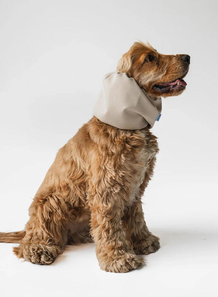Dog Snood  Waterproof – Beige