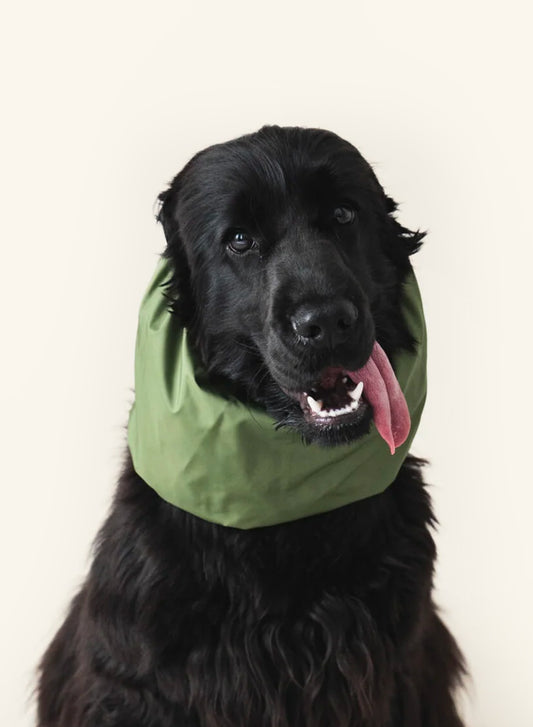 Dog Snood Waterproof – Green
