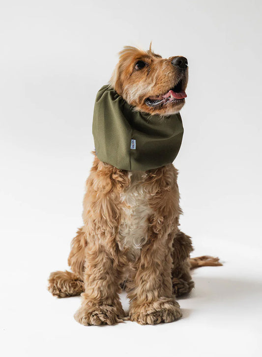 Dog Snood  Waterproof – Green
