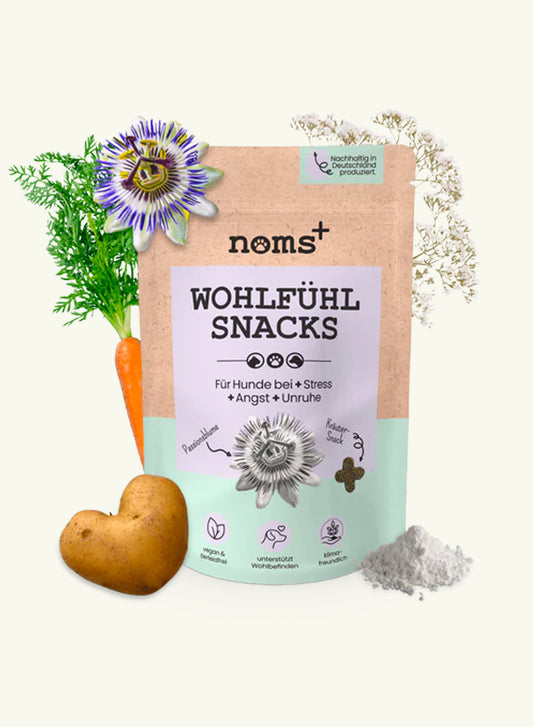 Well-Being Snacks